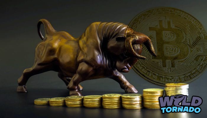 bitcoinbulls-700x400